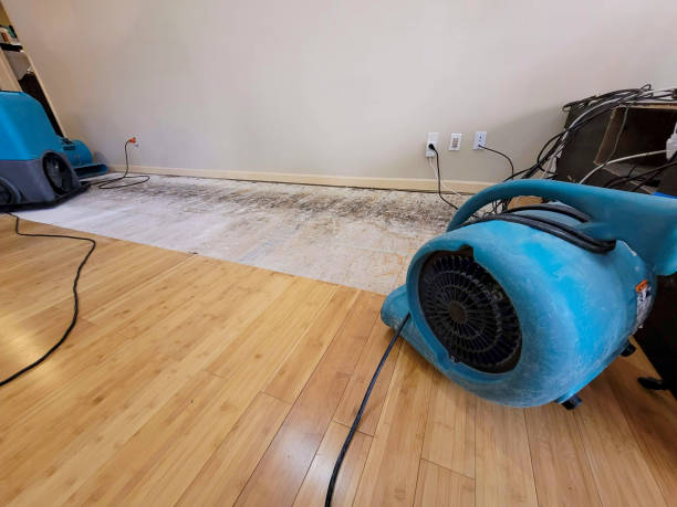Professional Water Damage Repair technician working in Cairo, OH